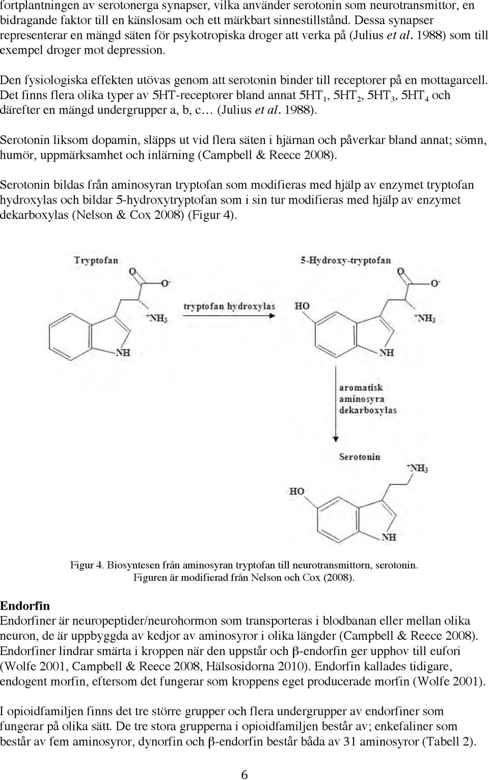 Den fysiologiska effekten utövas genom att serotonin binder till receptorer på en mottagarcell.