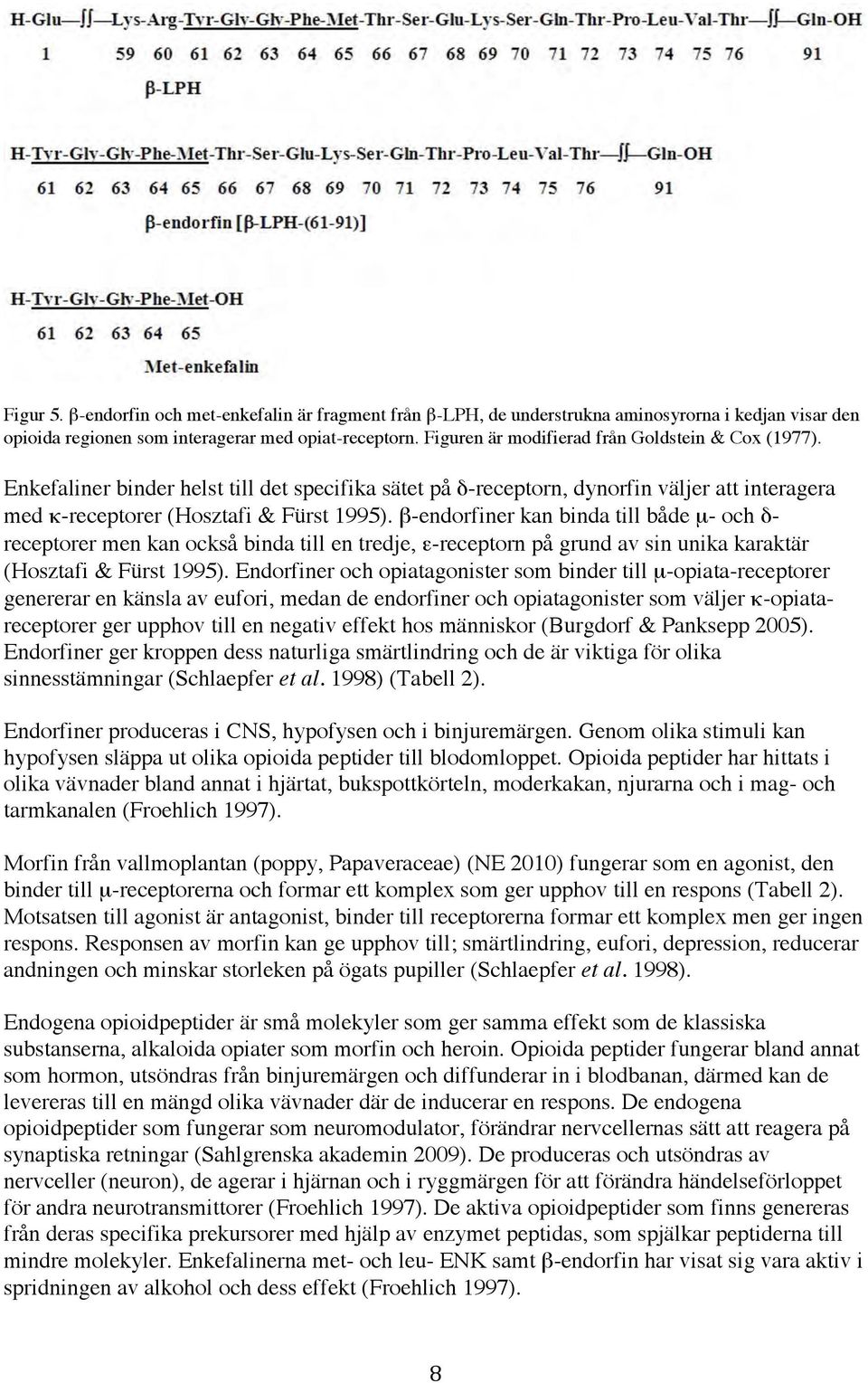 β-endorfiner kan binda till både µ- och δ- receptorer men kan också binda till en tredje, ε-receptorn på grund av sin unika karaktär (Hosztafi & Fürst 1995).