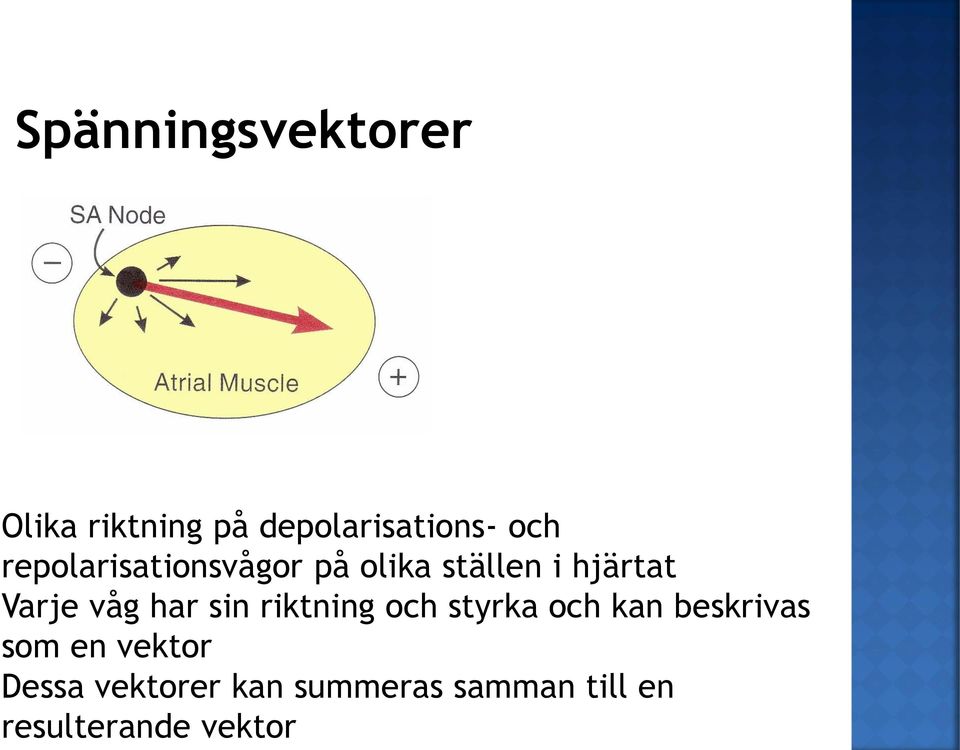 har sin riktning och styrka och kan beskrivas som en vektor