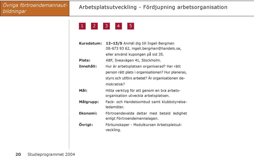 Innehåll: Hur är arbetsplatsen organiserad? Har rätt person rätt plats i organisationen? Hur planeras, styrs och utförs arbetet? Är organisationen demokratisk?