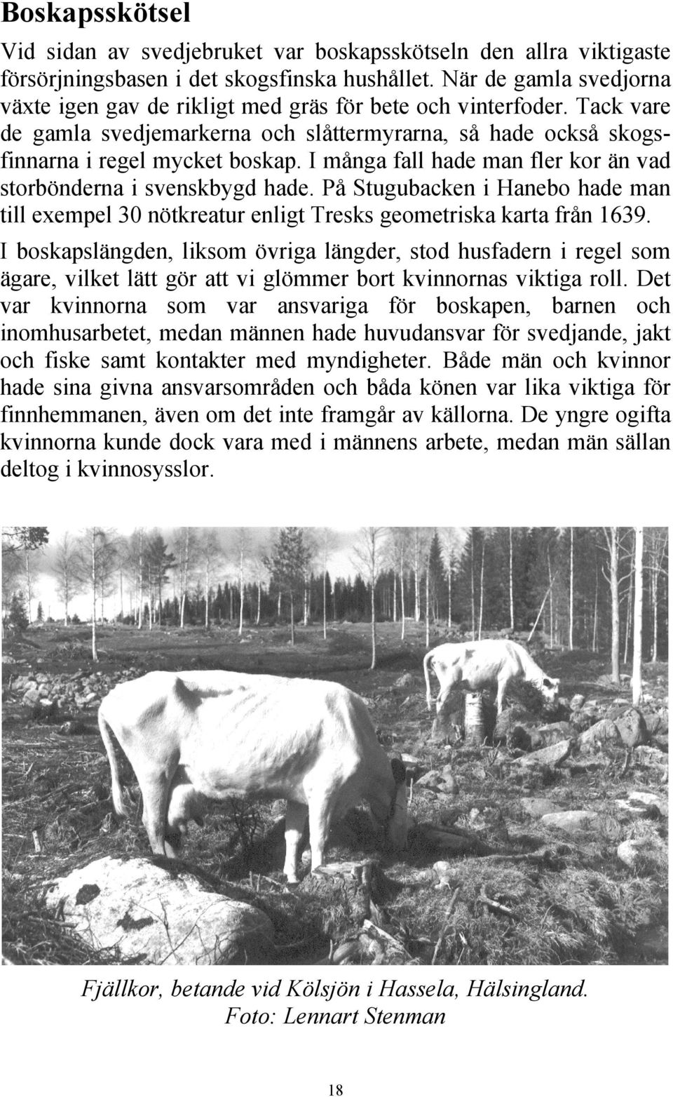 I många fall hade man fler kor än vad storbönderna i svenskbygd hade. På Stugubacken i Hanebo hade man till exempel 30 nötkreatur enligt Tresks geometriska karta från 1639.
