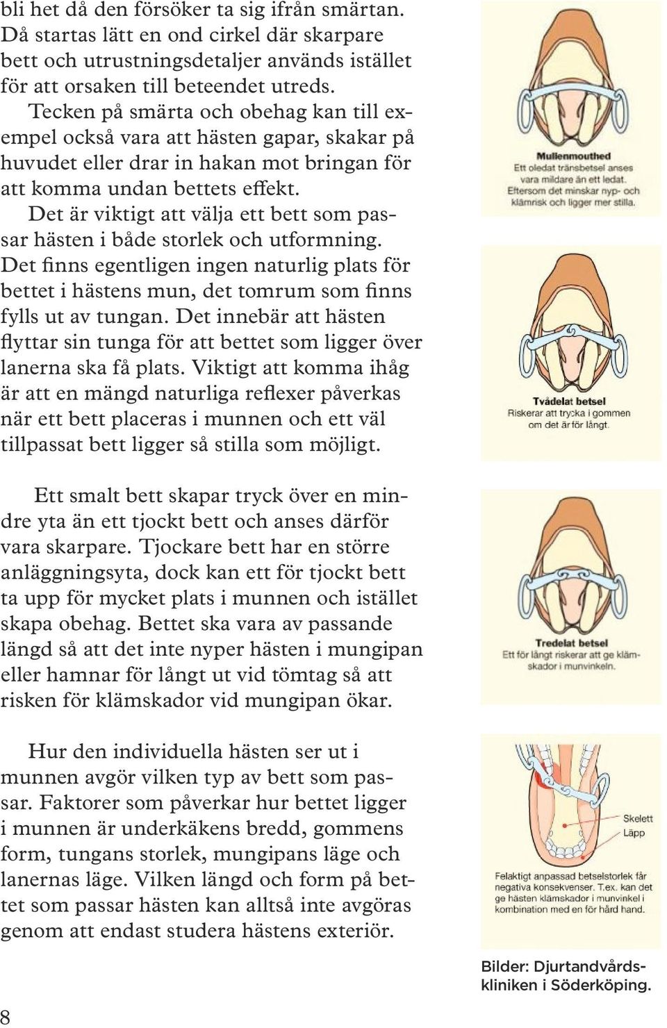 Det är viktigt att välja ett bett som passar hästen i både storlek och utformning. Det finns egentligen ingen naturlig plats för bettet i hästens mun, det tomrum som finns fylls ut av tungan.