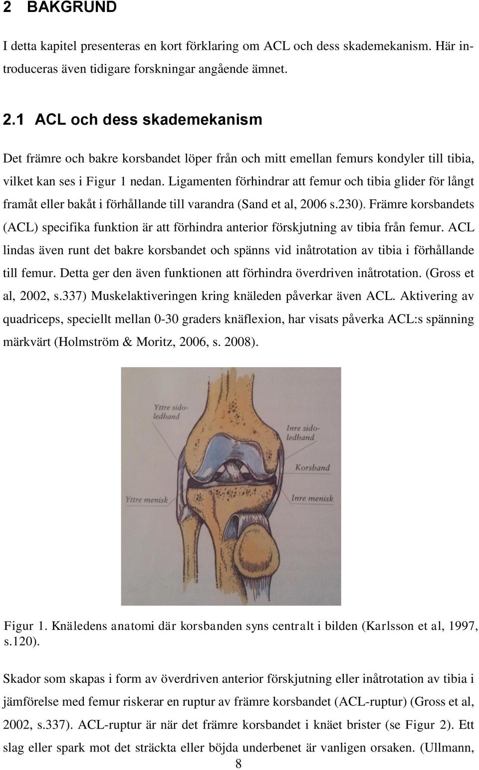 Ligamenten förhindrar att femur och tibia glider för långt framåt eller bakåt i förhållande till varandra (Sand et al, 2006 s.230).