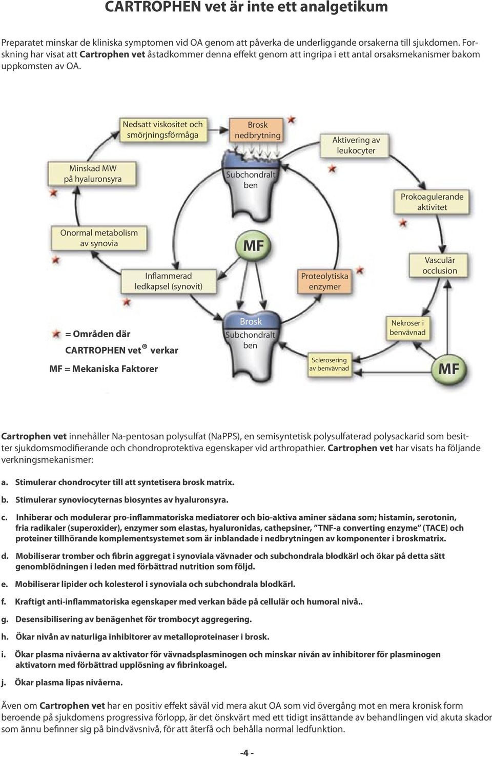 Nedsatt viskositet och smörjningsförmåga Brosk nedbrytning Aktivering av leukocyter Minskad MW på hyaluronsyra Subchondralt ben Prokoagulerande aktivitet Onormal metabolism av synovia Inflammerad