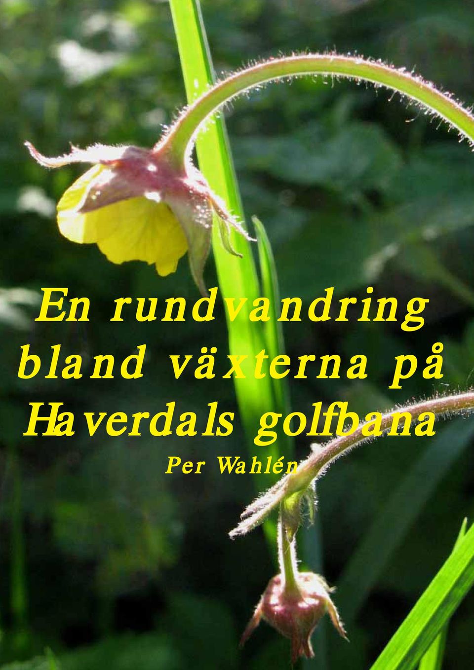 på Haverdals