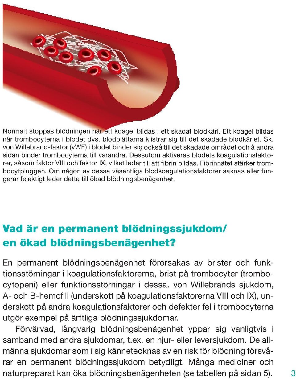 Dessutom aktiveras blodets koagulationsfaktorer, såsom faktor VIII och faktor IX, vilket leder till att fibrin bildas. Fibrinnätet stärker trombocytpluggen.