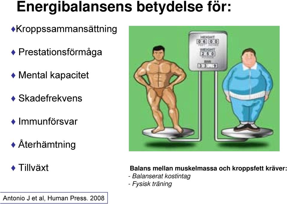 Återhämtning Tillväxt Balans mellan muskelmassa och kroppsfett