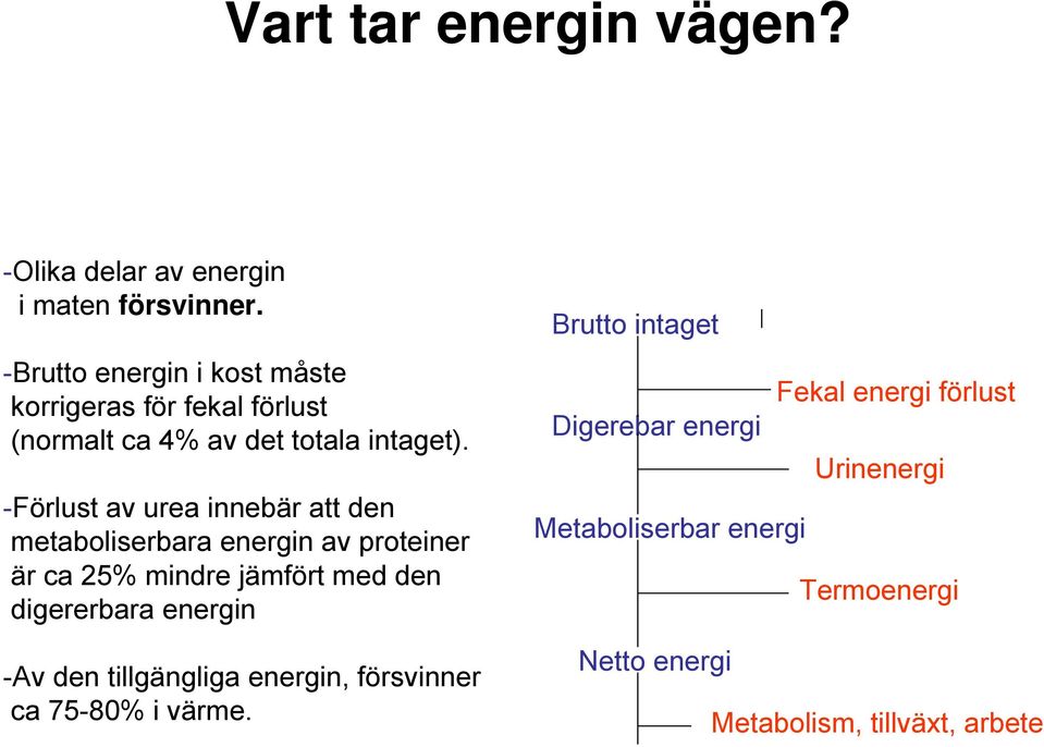 -Förlust av urea innebär att den metaboliserbara energin av proteiner är ca 25% mindre jämfört med den digererbara