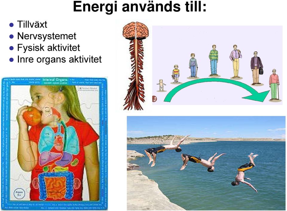 aktivitet Inre