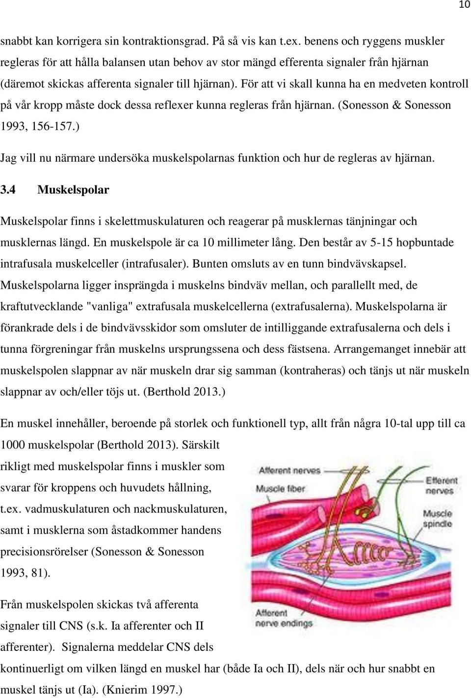 För att vi skall kunna ha en medveten kontroll på vår kropp måste dock dessa reflexer kunna regleras från hjärnan. (Sonesson & Sonesson 1993, 156-157.