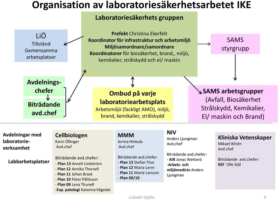 chef Ombud på varje laboratoriearbetsplats Arbetsmiljö (fackligt AMO), miljö, brand, kemikalier, strålskydd SAMS arbetsgrupper (Avfall, Biosäkerhet Strålskydd, Kemikalier, El/ maskin och Brand)