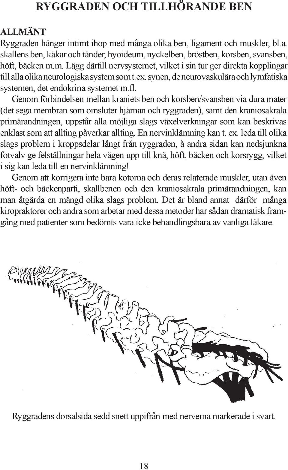 Genom förbindelsen mellan kraniets ben och korsben/svansben via dura mater (det sega membran som omsluter hjärnan och ryggraden), samt den kraniosakrala primärandningen, uppstår alla möjliga slags