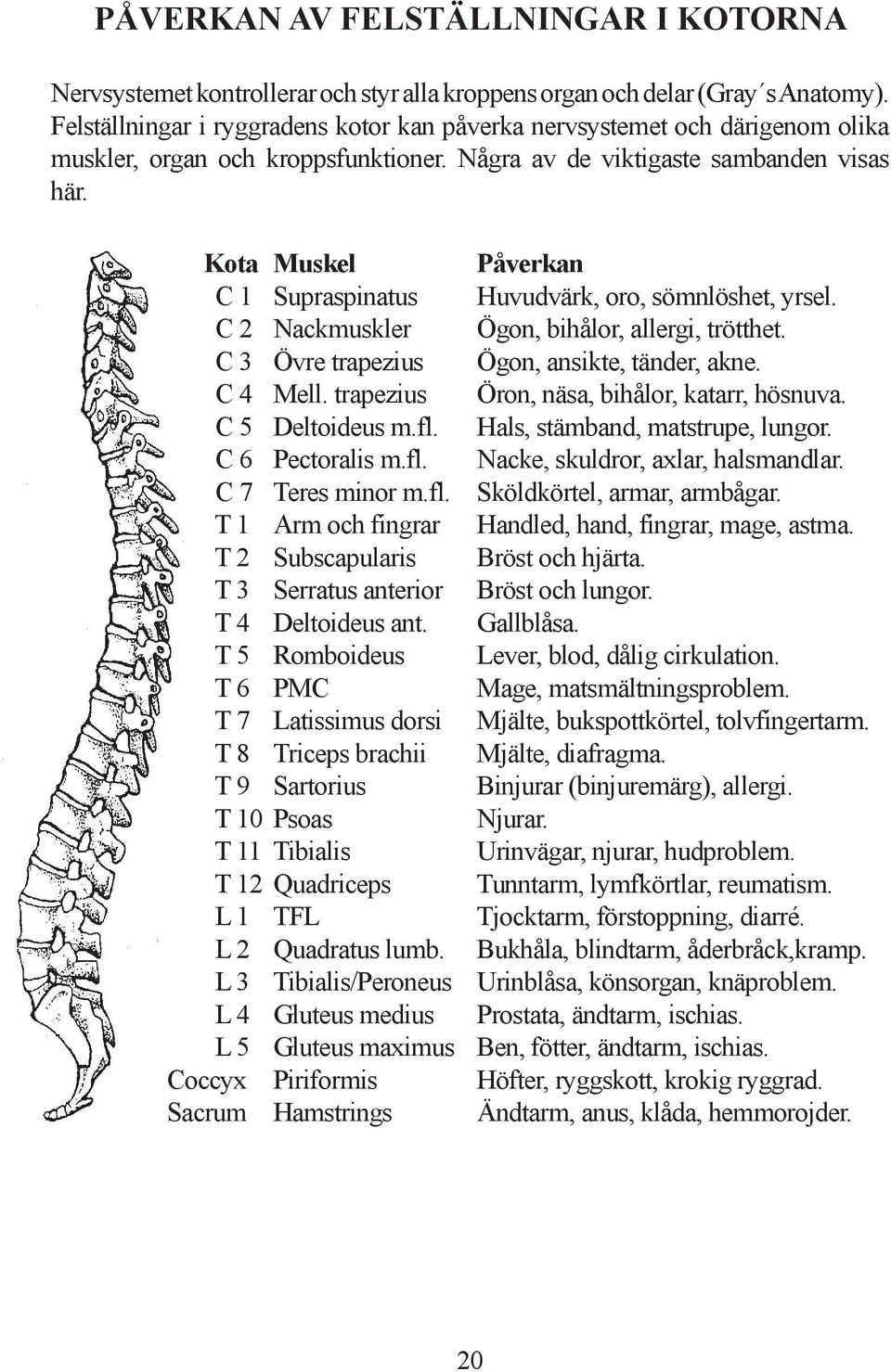 Kota Muskel Påverkan C 1 Supraspinatus Huvudvärk, oro, sömnlöshet, yrsel. C 2 Nackmuskler Ögon, bihålor, allergi, trötthet. C 3 Övre trapezius Ögon, ansikte, tänder, akne. C 4 Mell.