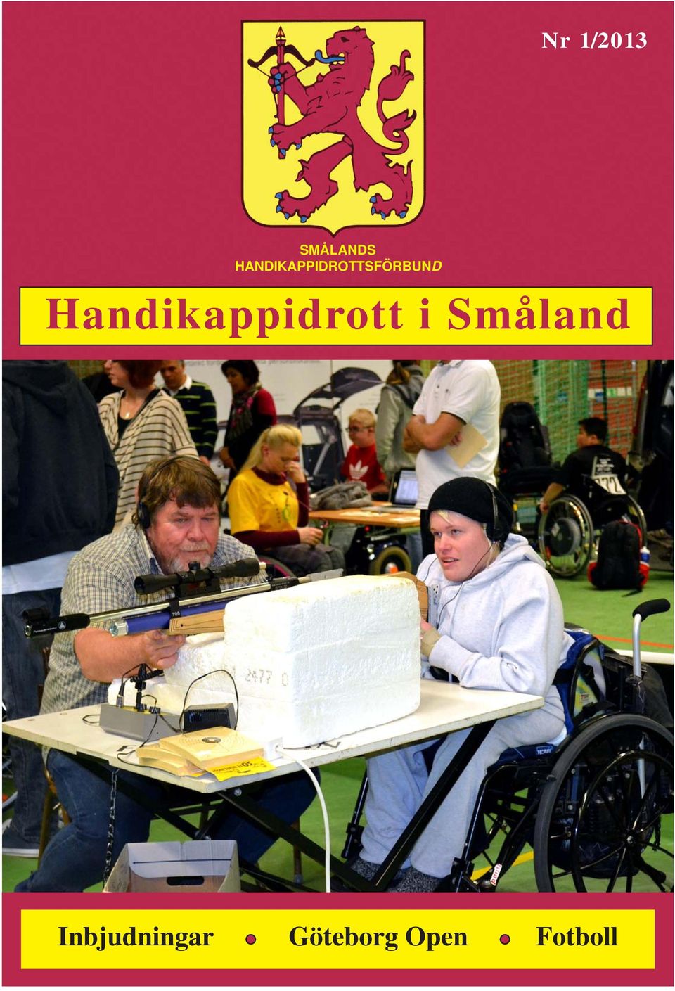 Handikappidrott i