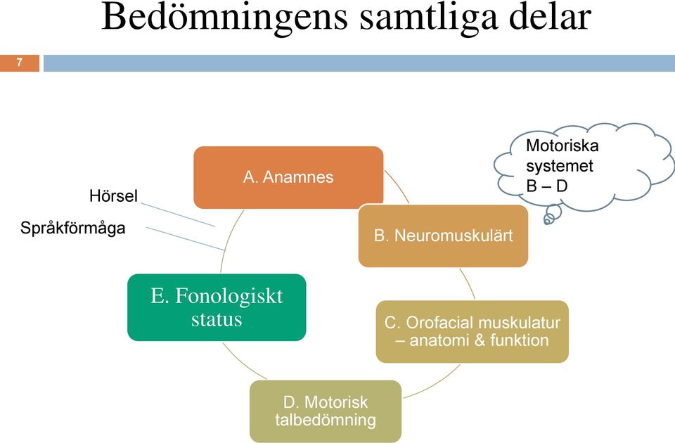 Neuromuskulärt E. Fonologiskt status C.