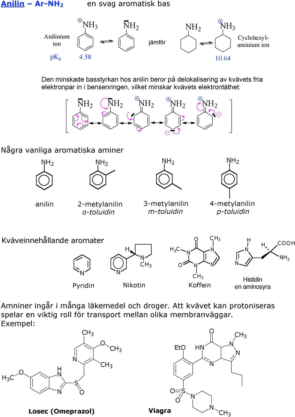 ågra vanliga aromatiska aminer 2 2 2 2 anilin 2-metylanilin o-toluidin 3-metylanilin m-toluidin 4-metylanilin p-toluidin Kväveinnehållande aromater Pyridin