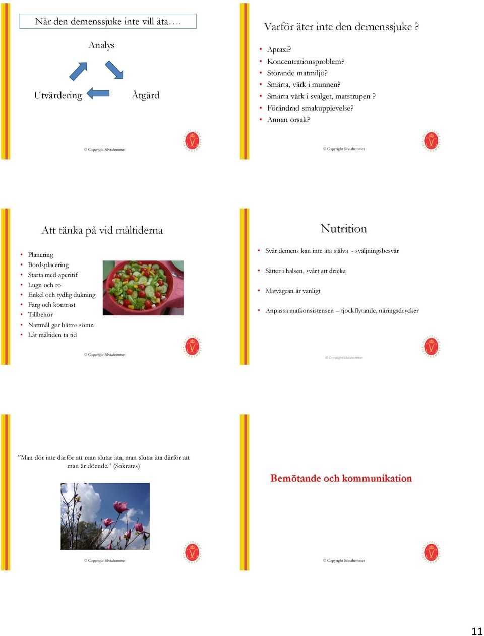 Att tänka på vid måltiderna Planering Bordsplacering Starta med aperitif Lugn och ro Enkel och tydlig dukning Färg och kontrast Tillbehör Nattmål ger bättre sömn Låt måltiden ta