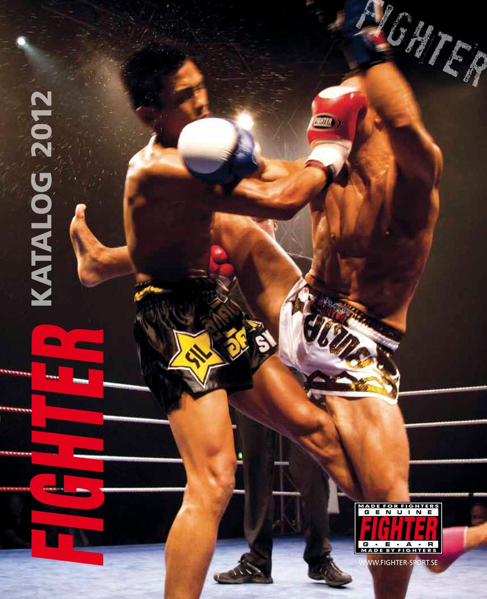 Fighter