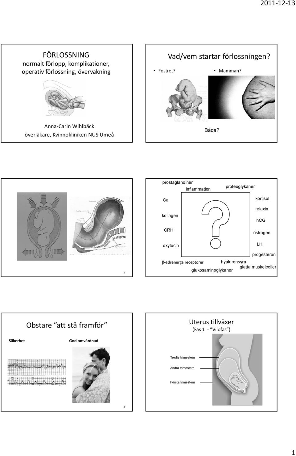 prostaglandiner inflammation proteoglykaner Ca kollagen CRH oxytocin kortisol relaxin hcg östrogen LH 2 progesteron β-adrenerga