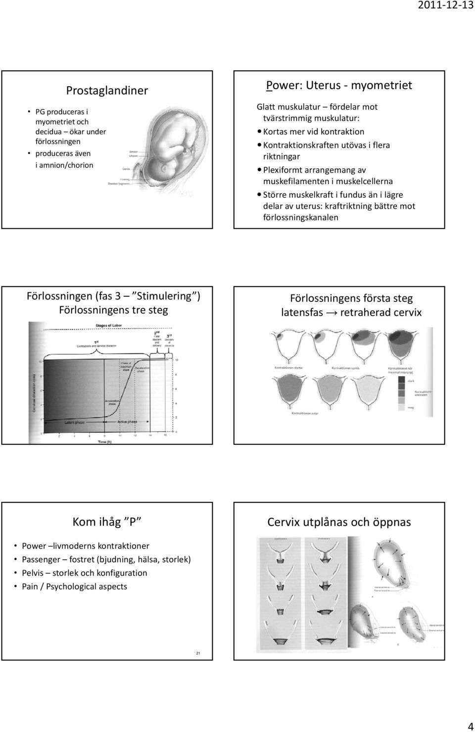 fundus än i lägre delar av uterus: kraftriktning bättre mot förlossningskanalen Förlossningen (fas 3 Stimulering ) Förlossningens tre steg Förlossningens första steg latensfas