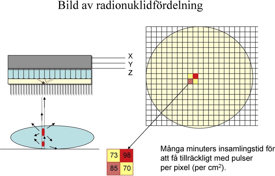 insamlingstid för att få