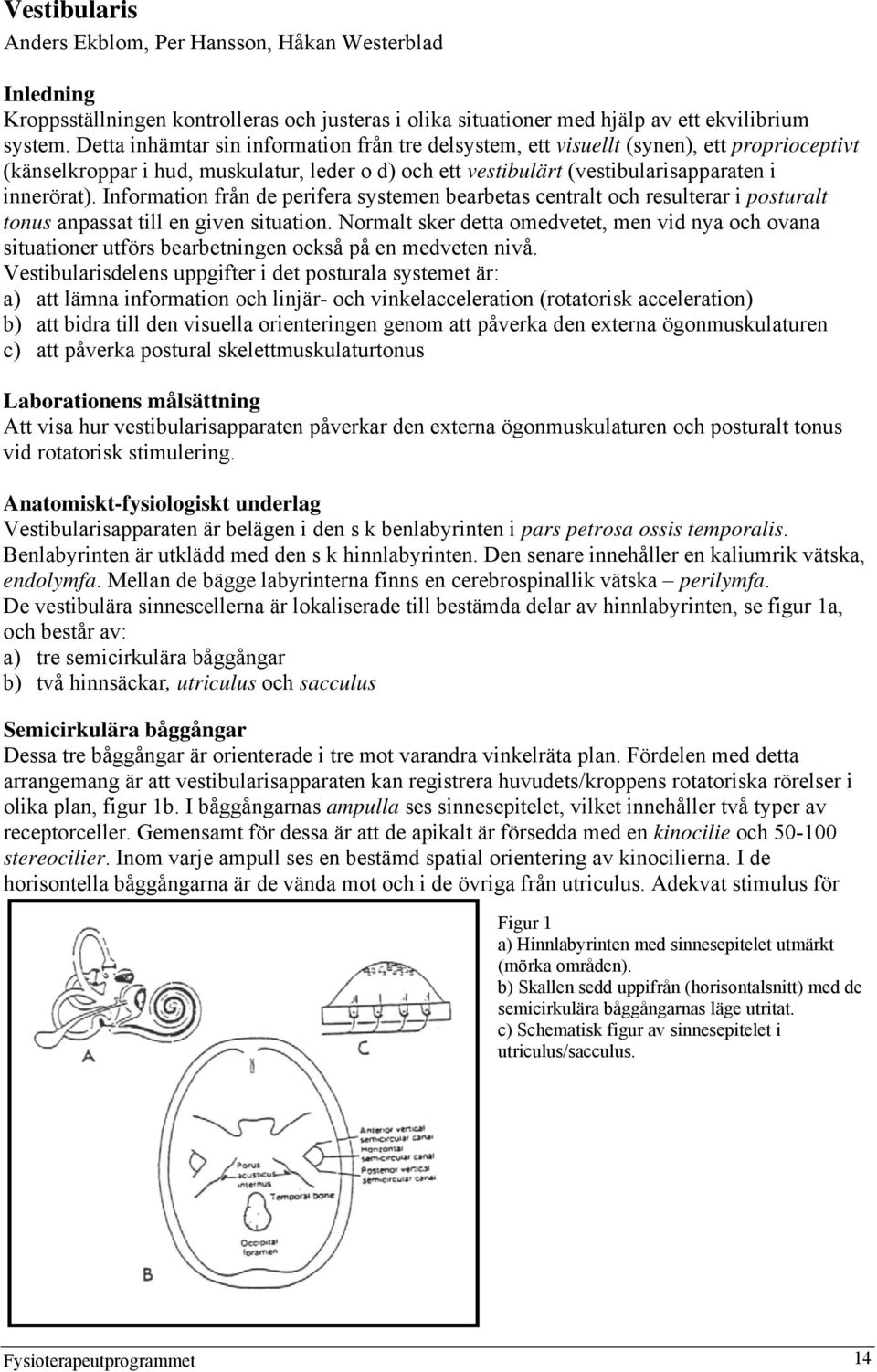 Information från de perifera systemen bearbetas centralt och resulterar i posturalt tonus anpassat till en given situation.