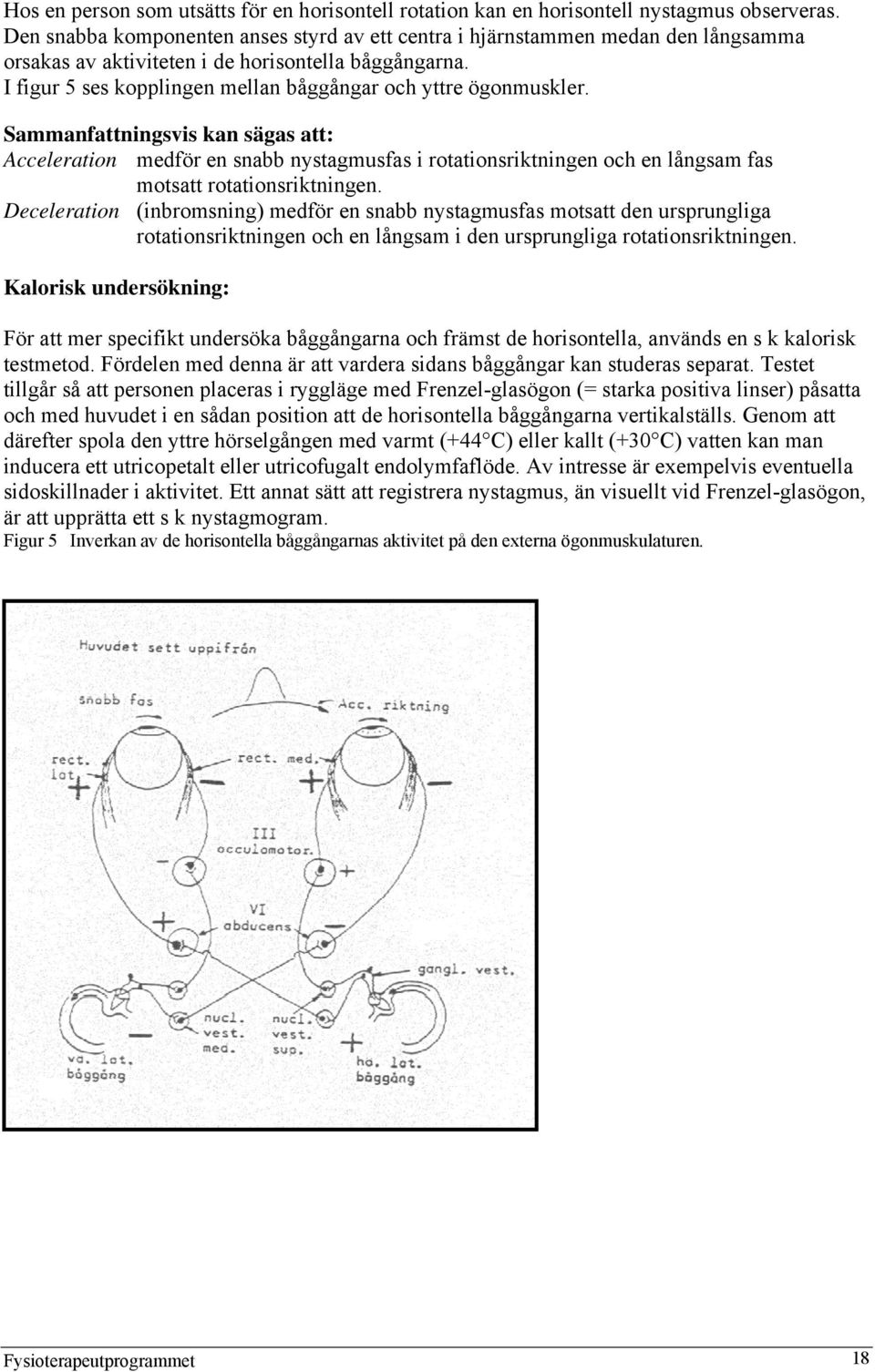 I figur 5 ses kopplingen mellan båggångar och yttre ögonmuskler.