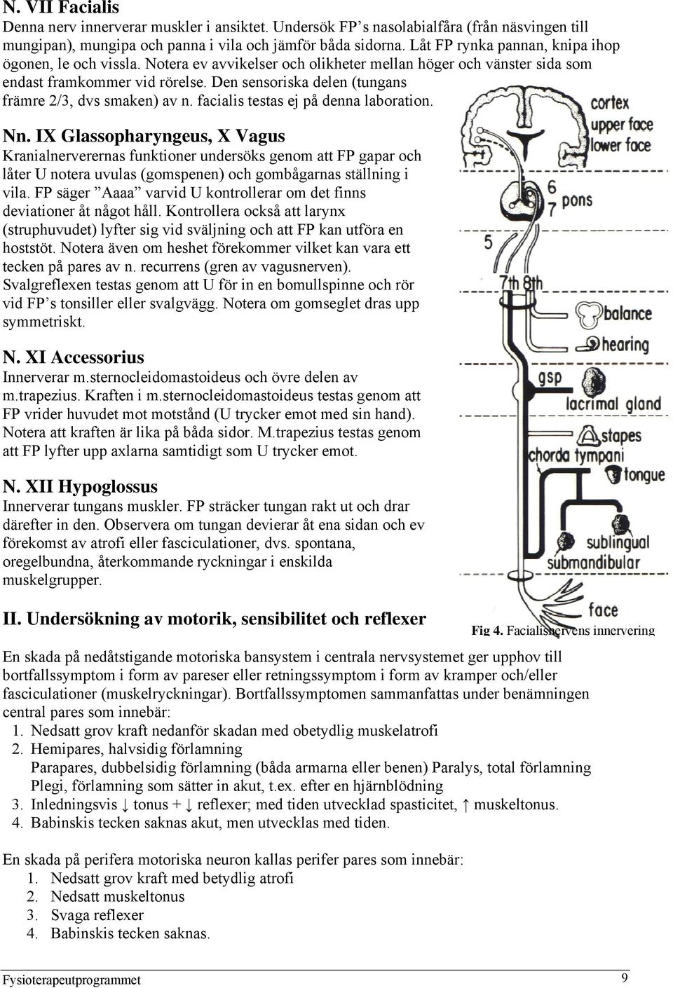 Den sensoriska delen (tungans främre 2/3, dvs smaken) av n. facialis testas ej på denna laboration. Nn.