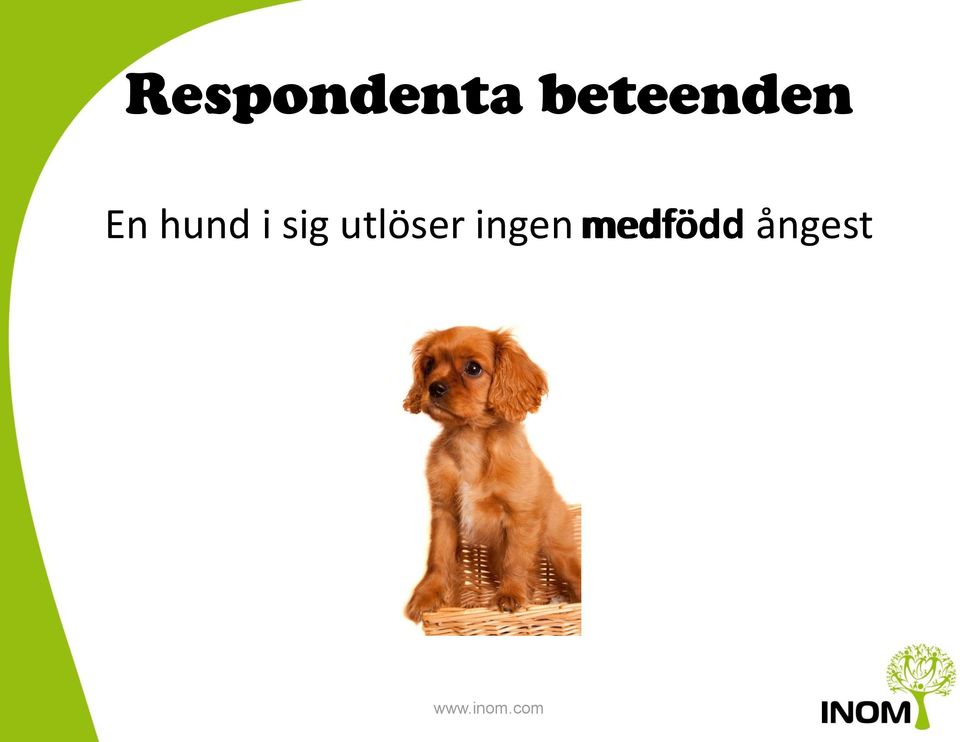 hund i sig