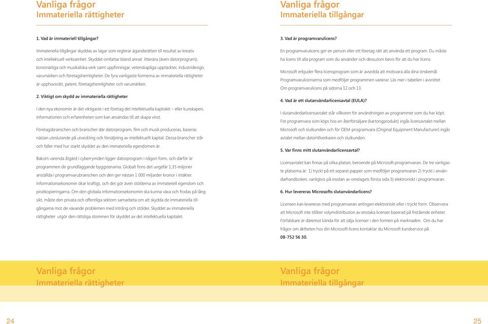 Skyddet omfattar bland annat litterära (även datorprogram), konstnärliga och musikaliska verk samt uppfinningar, vetenskapliga upptäckter, industridesign, varumärken och företagshemligheter.