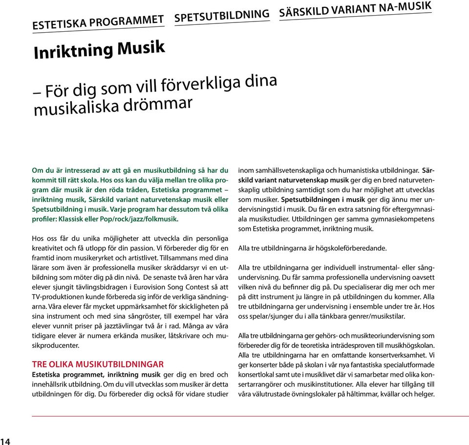 Hos oss kan du välja mellan tre olika program där musik är den röda tråden, Estetiska programmet inriktning musik, Särskild variant naturvetenskap musik eller Spetsutbildning i musik.