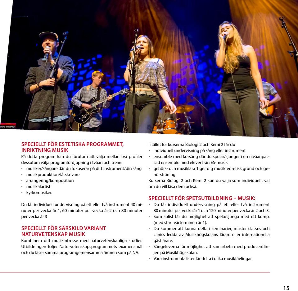 Du får individuell undervisning på ett eller två instrument 40 minuter per vecka år 1, 60 minuter per vecka år 2 och 80 minuter per vecka år 3 SPECIELLT FÖR SÄRSKILD VARIANT NATURVETENSKAP MUSIK
