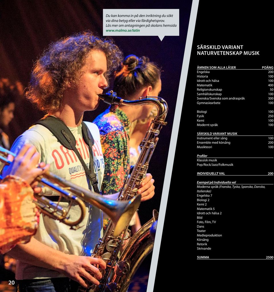 andraspråk 300 Gymnasiearbete 100 Biologi 100 Fysik 250 Kemi 100 Modernt språk 100 SÄRSKILD VARIANT MUSIK Instrument eller sång 100 Ensemble med körsång 200 Musikteori 100 Profiler Klassisk musik