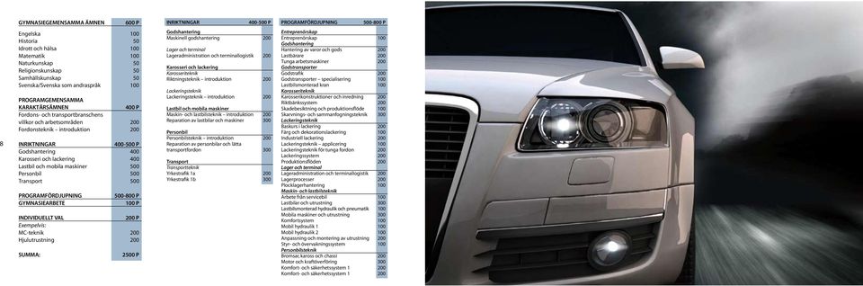 Godshantering 400 Karosseri och lackering 400 Lastbil och mobila maskiner 500 Personbil 500 Transport 500 Programfördjupning Gymnasiearbete 500-800 p 100 p Individuellt val 200 p Exempelvis: