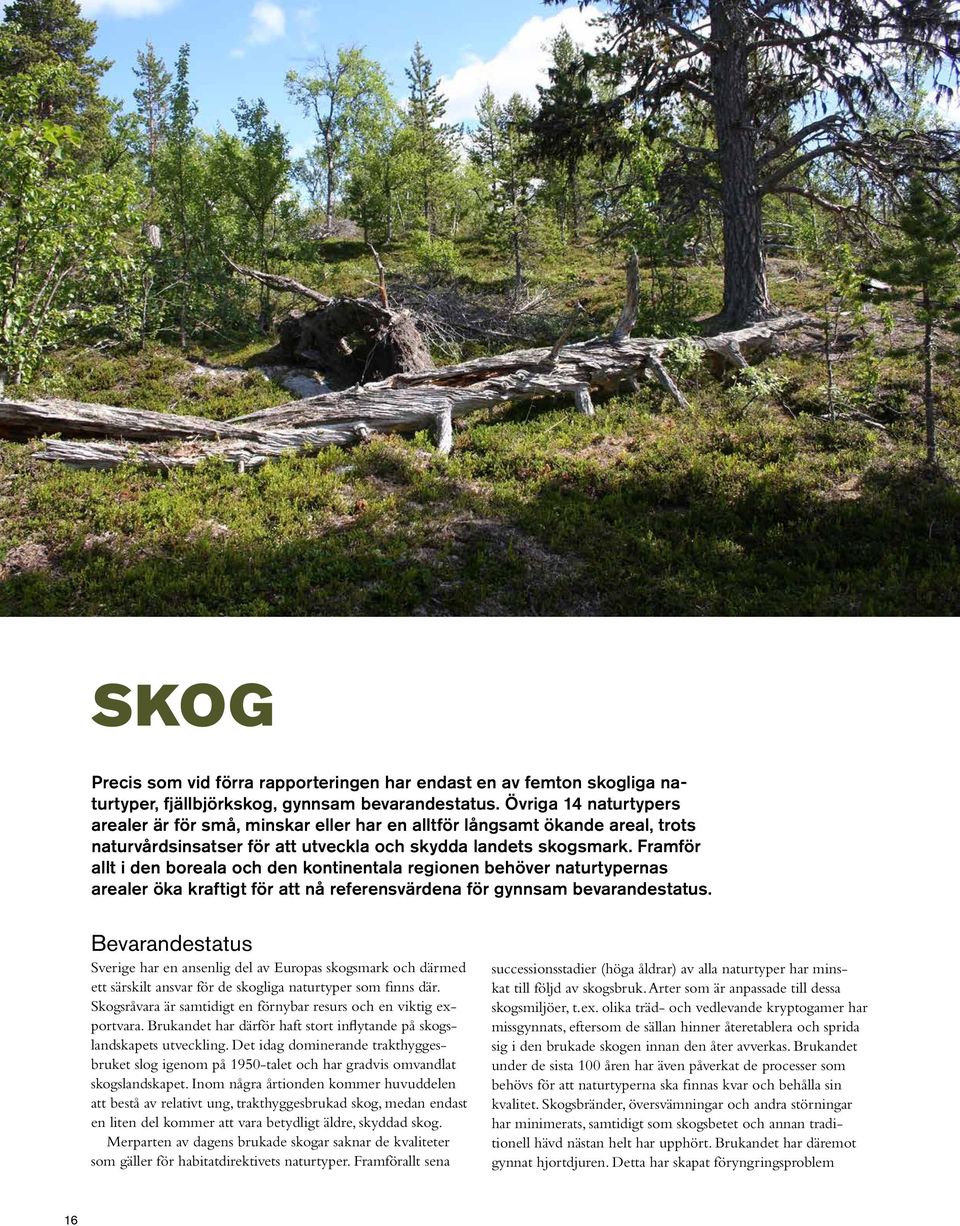 Framför allt i den boreala och den kontinentala regionen behöver naturtypernas arealer öka kraftigt för att nå referensvärdena för gynnsam bevarandestatus.