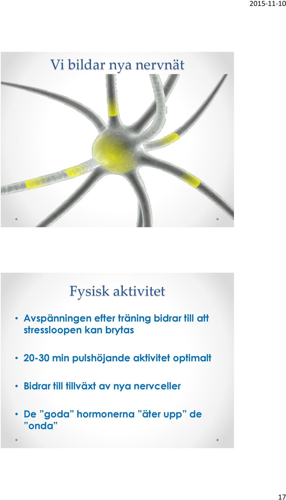 20-30 min pulshöjande aktivitet optimalt Bidrar till