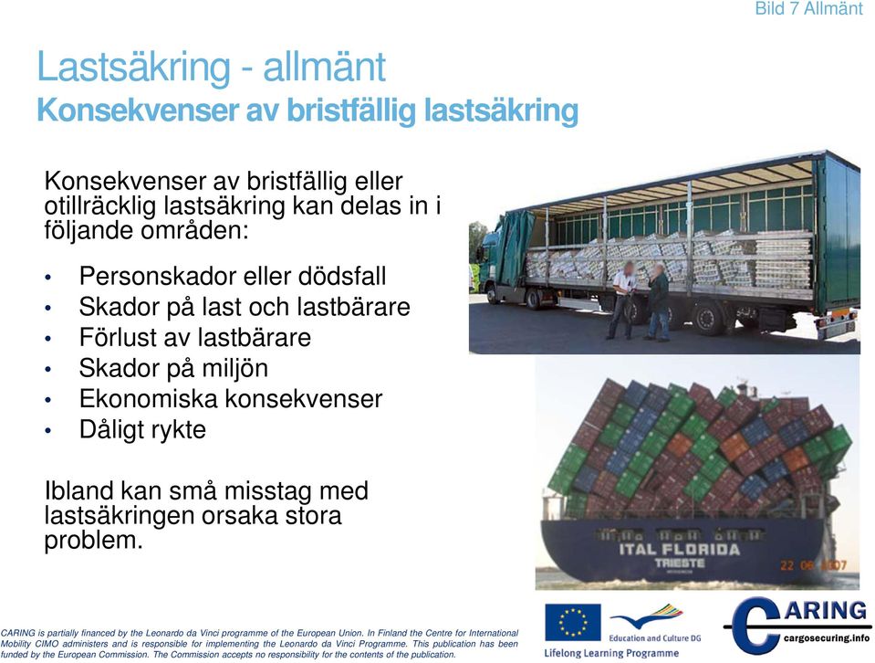 eller dödsfall Skador på last och lastbärare Förlust av lastbärare Skador på miljön