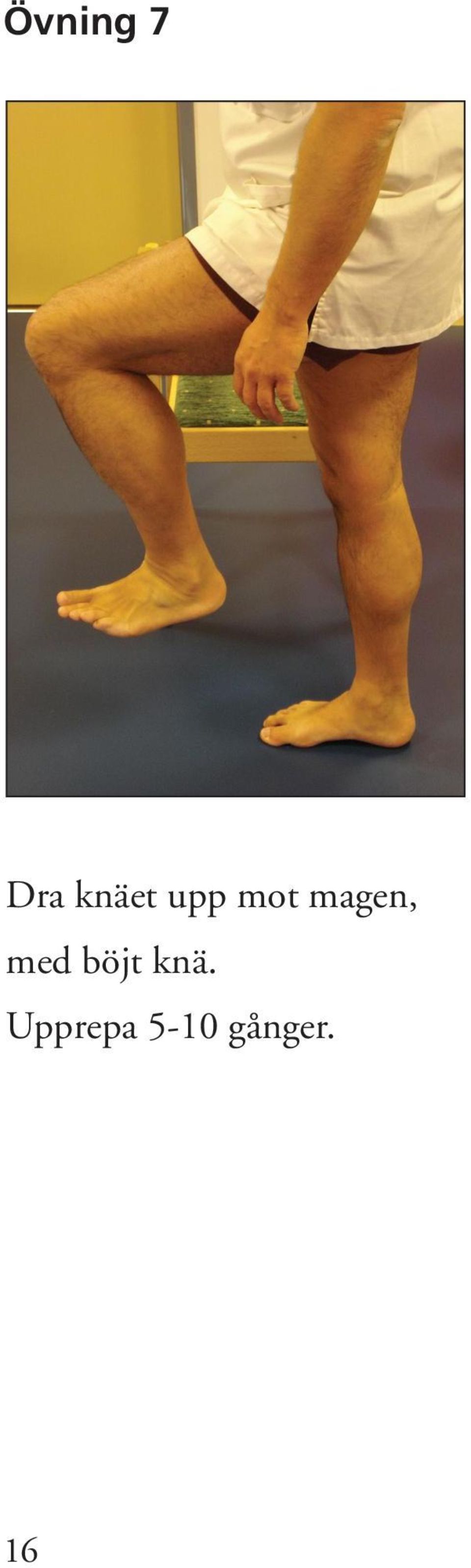 magen, med böjt