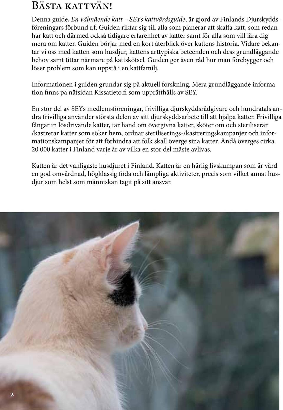 Guiden börjar med en kort återblick över kattens historia. Vidare bekantar vi oss med katten som husdjur, kattens arttypiska beteenden och dess grundläggande behov samt tittar närmare på kattskötsel.