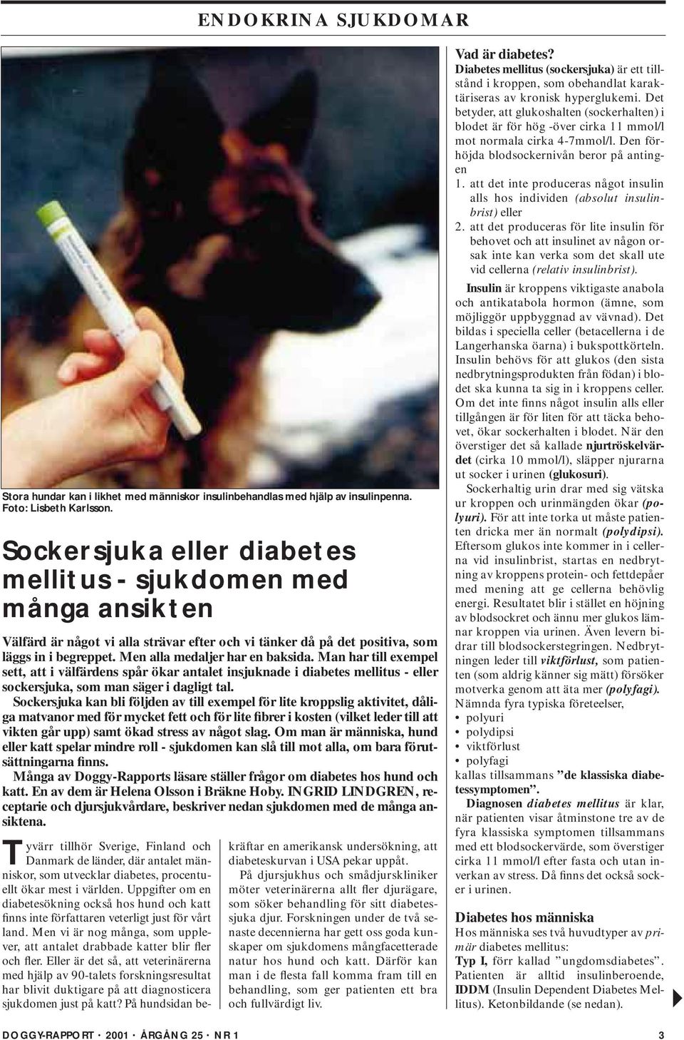 Man har till exempel sett, att i välfärdens spår ökar antalet insjuknade i diabetes mellitus - eller sockersjuka, som man säger i dagligt tal.