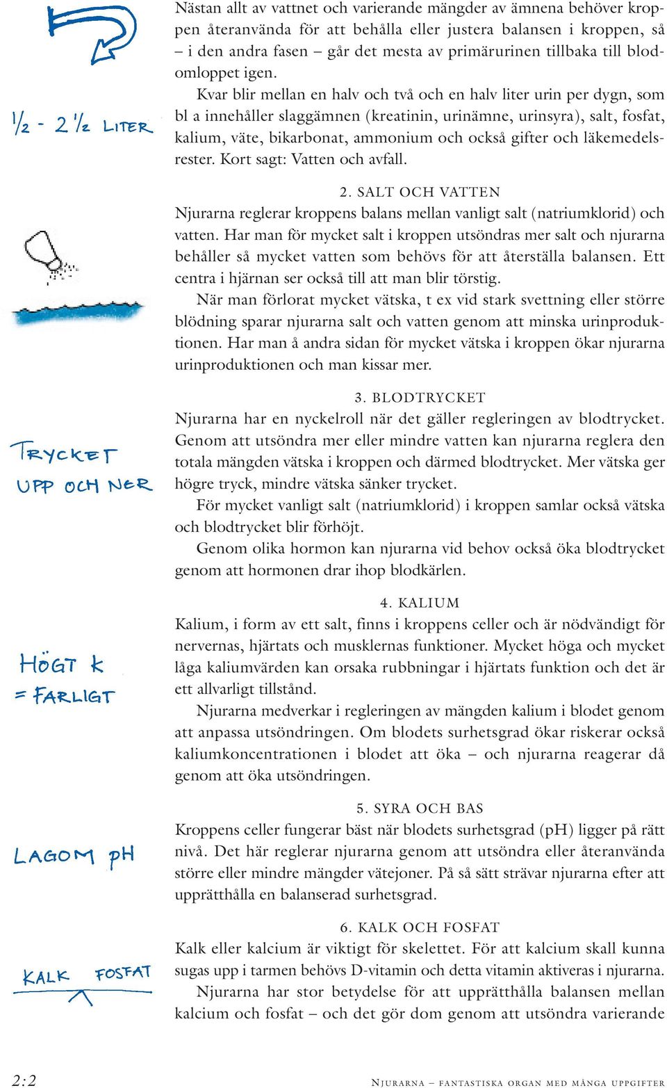 Kvar blir mellan en halv och två och en halv liter urin per dygn, som bl a innehåller slaggämnen (kreatinin, urinämne, urinsyra), salt, fosfat, kalium, väte, bikarbonat, ammonium och också gifter och