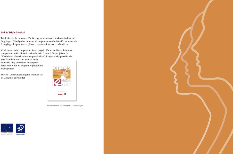 K2 - kvinnor och kompetens - är ett projekt för att ta tillvara kvinnors kompetens i stål- och verkstadsindustrin. Ledord för projektet, är Förebilder, nätverk och entreprenörskap.