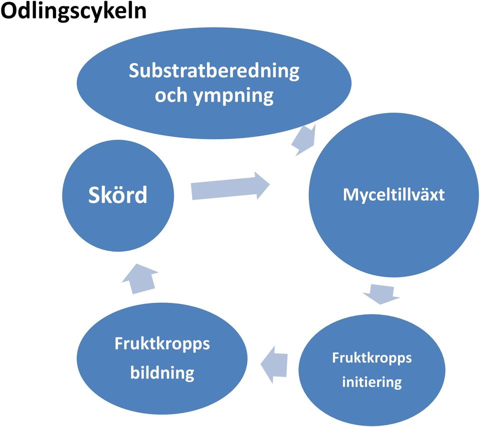 ympning Skörd