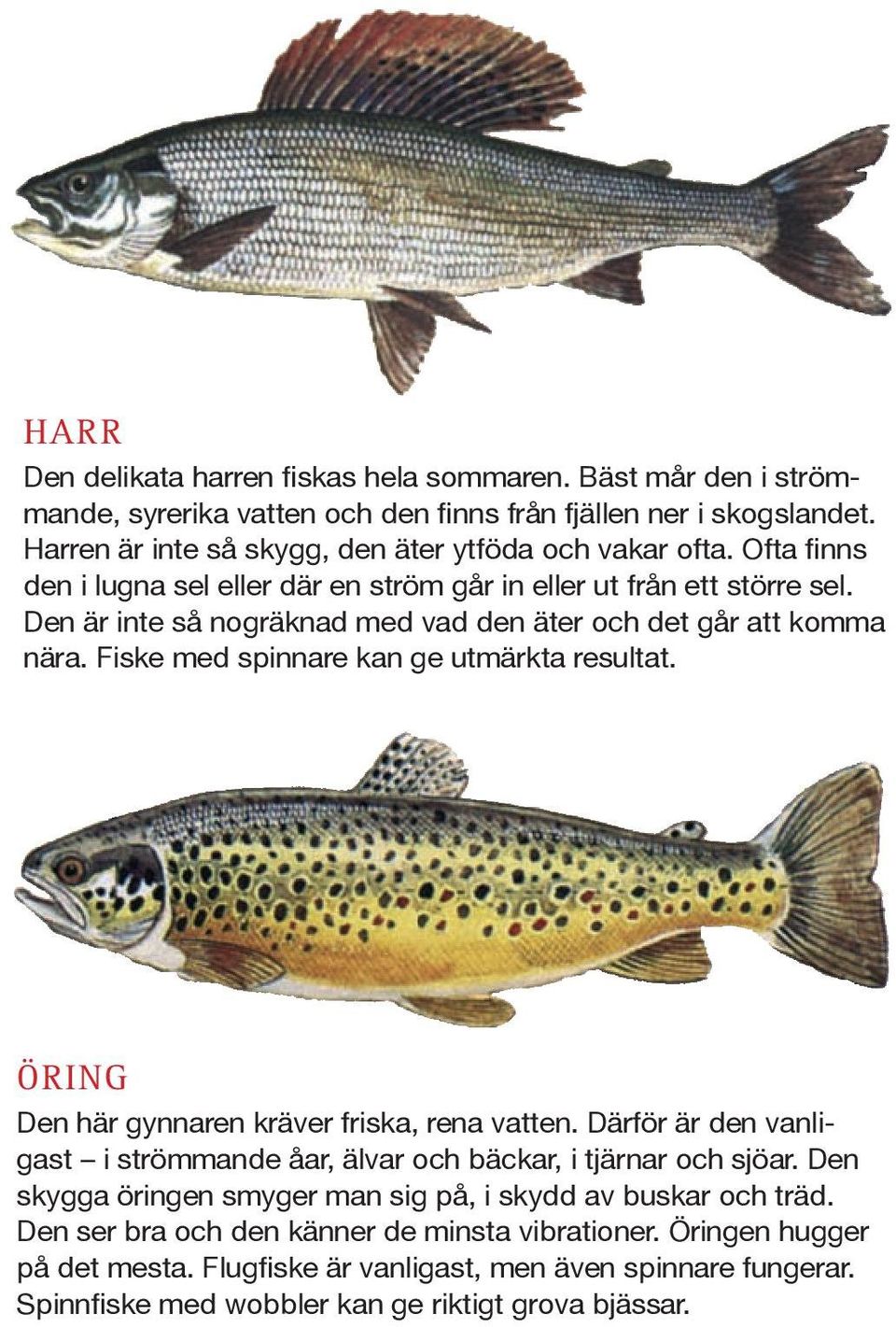 Fiske med spinnare kan ge utmärkta resultat. ring Den här gynnaren kräver friska, rena vatten. Därför är den vanligast i strömmande åar, älvar och bäckar, i tjärnar och sjöar.