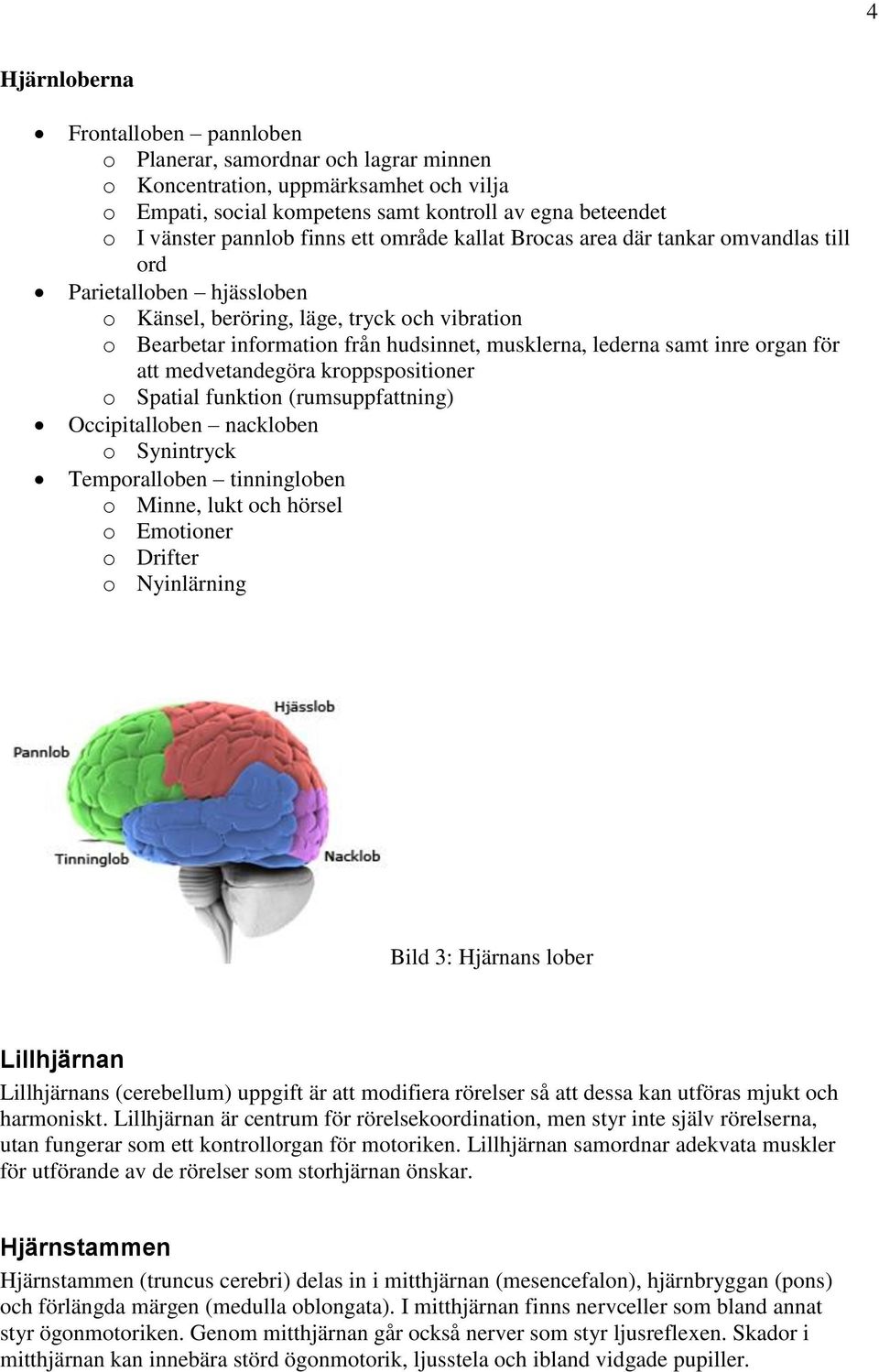 samt inre organ för att medvetandegöra kroppspositioner o Spatial funktion (rumsuppfattning) Occipitalloben nackloben o Synintryck Temporalloben tinningloben o Minne, lukt och hörsel o Emotioner o