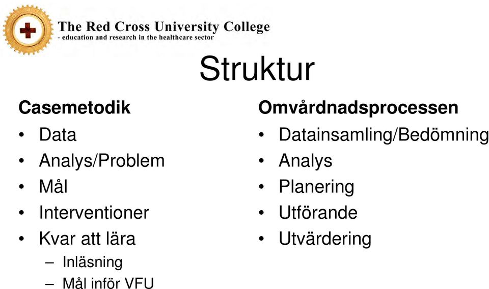 inför VFU Omvårdnadsprocessen