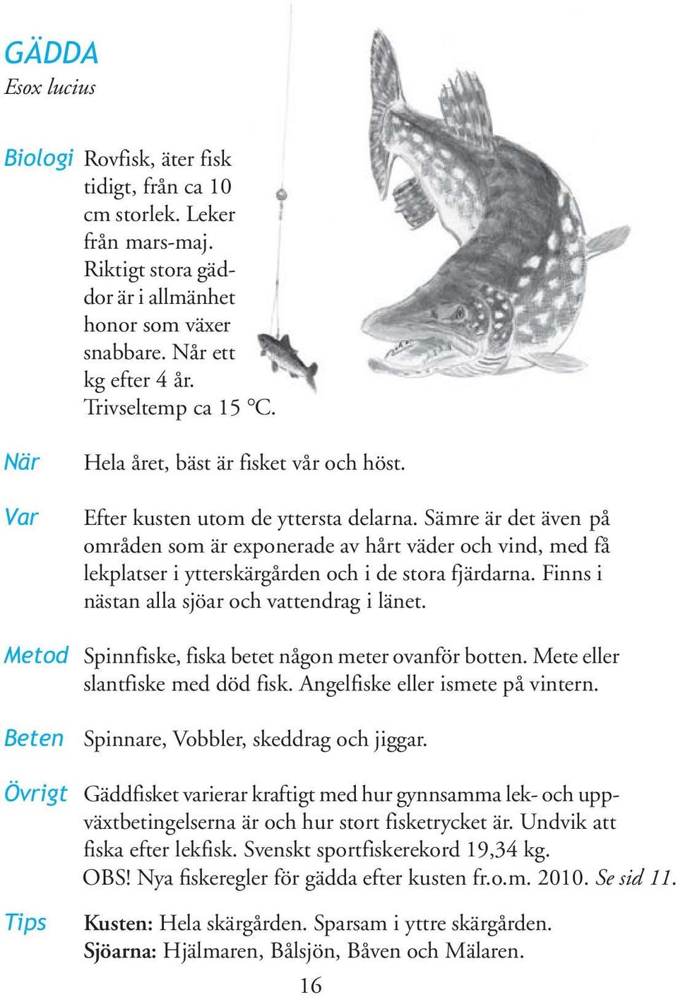 Sämre är det även på områden som är exponerade av hårt väder och vind, med få lekplatser i ytterskärgården och i de stora fjärdarna. Finns i nästan alla sjöar och vattendrag i länet.