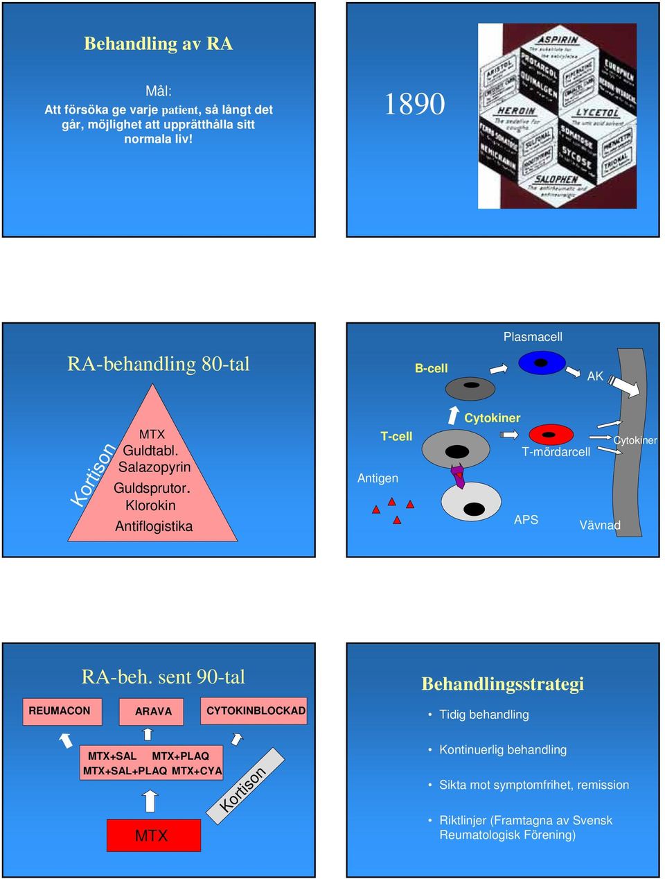 Klorokin Antiflogistika T-cell Antigen Cytokiner Cytokiner T-mördarcell APS Vävnad RA-beh.