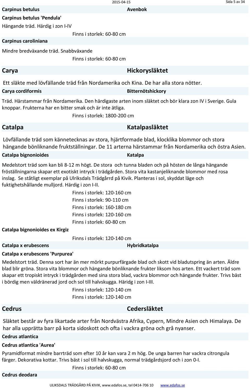 Härstammar från Nordamerika. Den härdigaste arten inom släktet och bör klara zon IV i Sverige. Gula knoppar. Frukterna har en bitter smak och är inte ätliga.