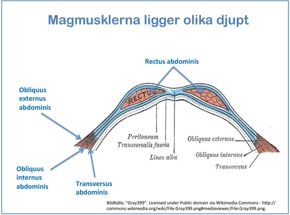 Bildkälla: "Gray99".